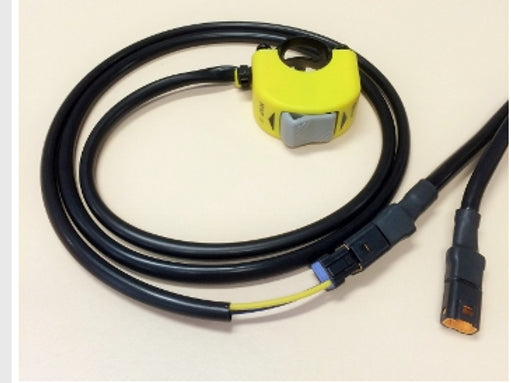 ECU Dual Switch 2B (.5M)